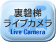 ライブカメラ